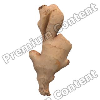 Ginger Root 3D Scan Retopo